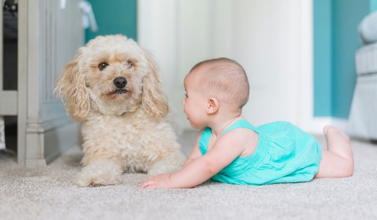 tapijttegels vloer babykamer
