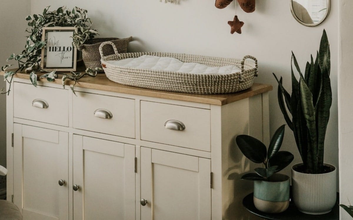 veilige planten in de babykamer